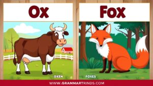 Plurals of ‘Ox’ and ‘Fox’