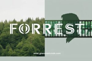 Forrest Or Forest