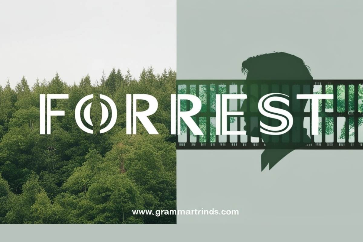Forrest Or Forest